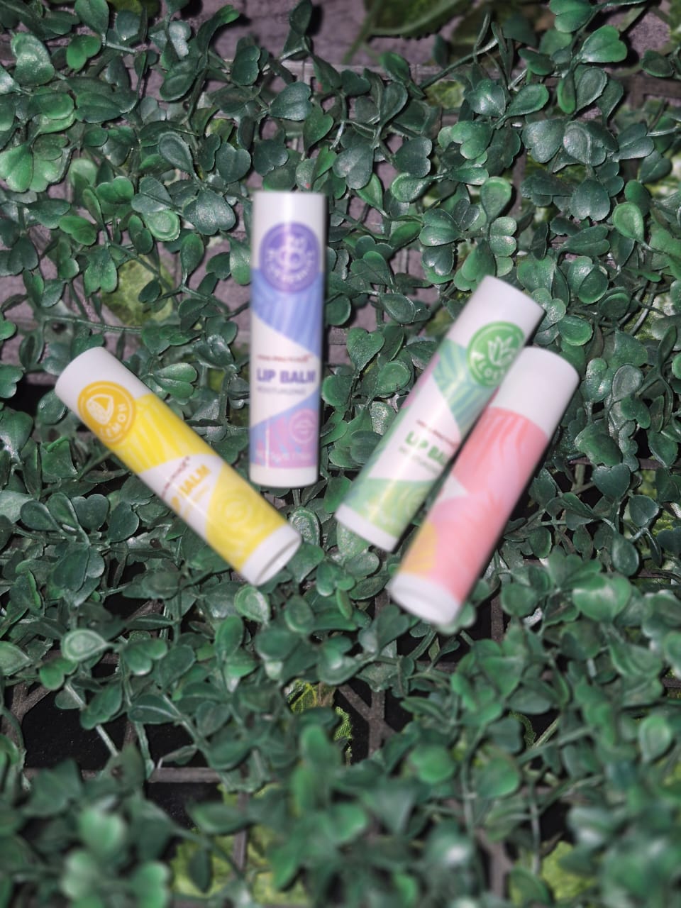 Nourishing Lip Balm - Scoops Mystery Boxes - 