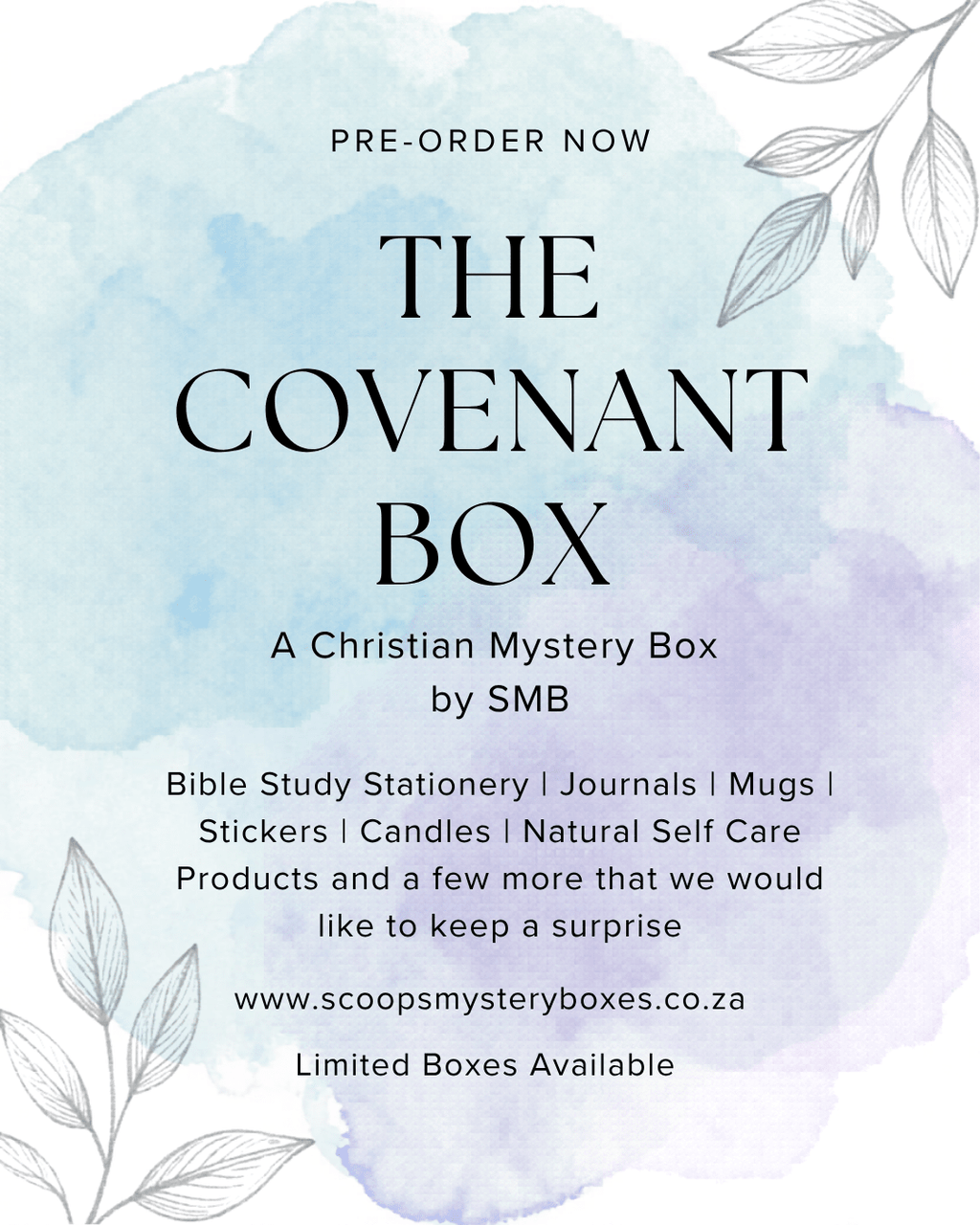 The Covenant Box - Scoops Mystery Boxes - Mystery Box